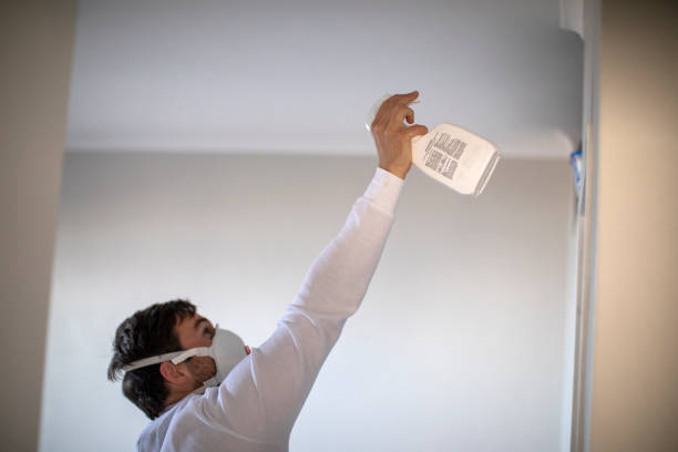 Home Mold Removal in Andover, MN