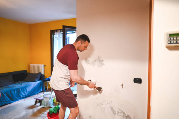 Best Office Mold Removal Services  in Andover, MN